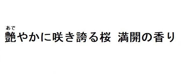 商標登録6254030