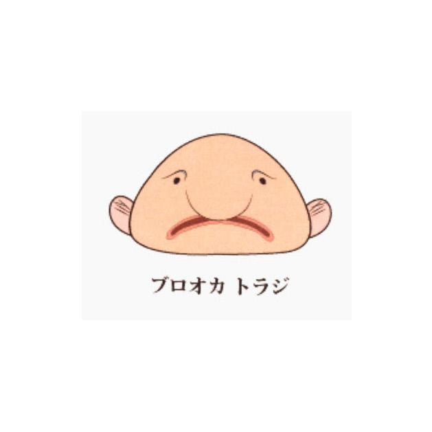 商標登録6053706