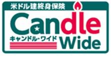 商標登録6380540