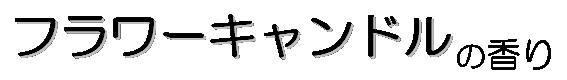 商標登録5381744