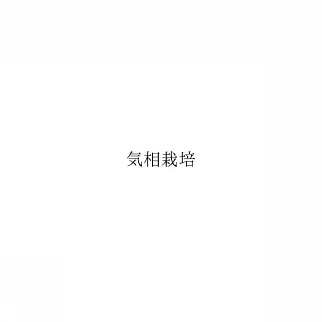 商標登録6934653