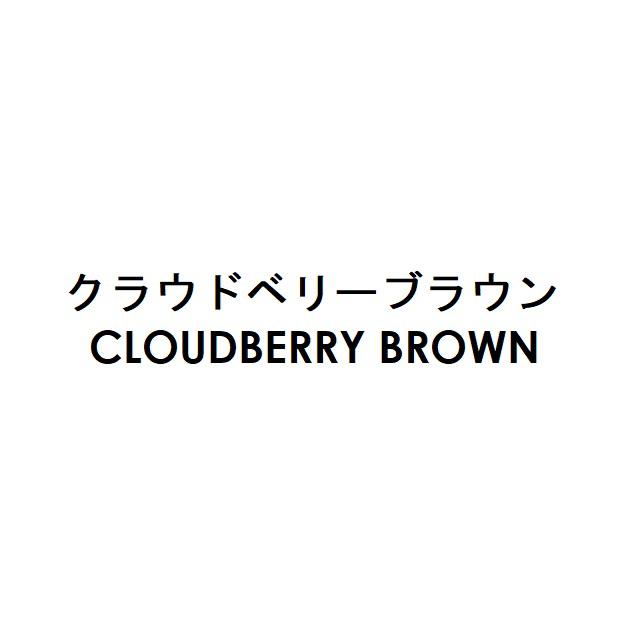 商標登録6383642