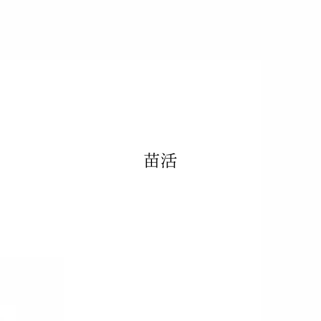 商標登録6164132