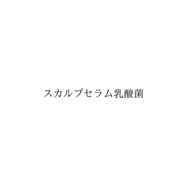 商標登録6545338