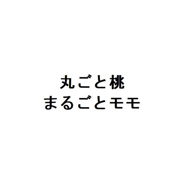 商標登録6386375