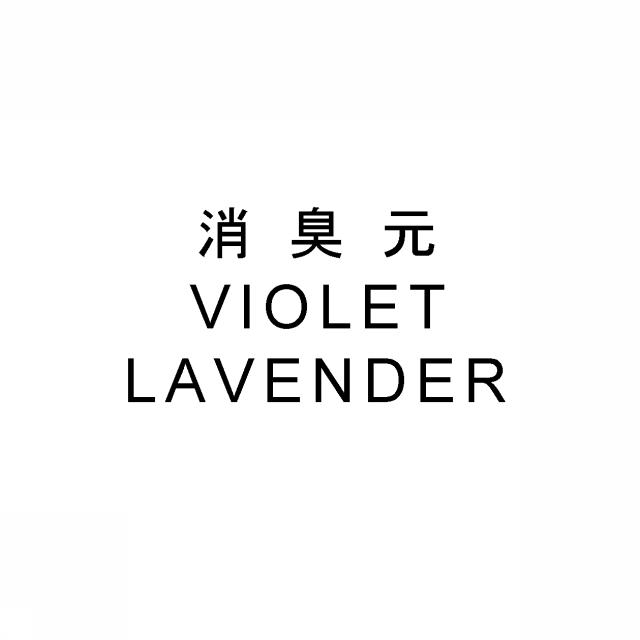 商標登録6065195