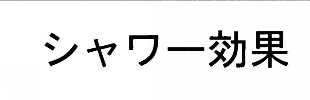 商標登録5282938