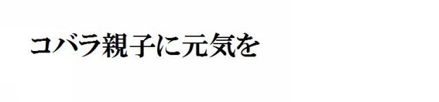 商標登録5902119