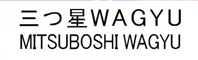 商標登録6268021