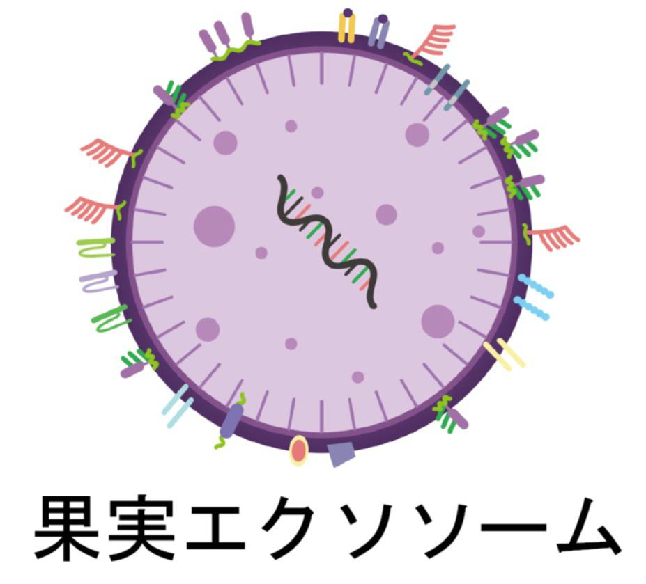 商標登録6550203