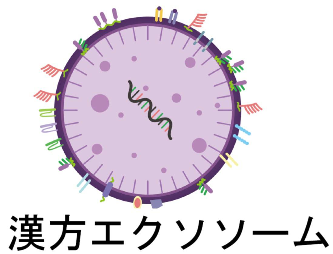 商標登録6550205