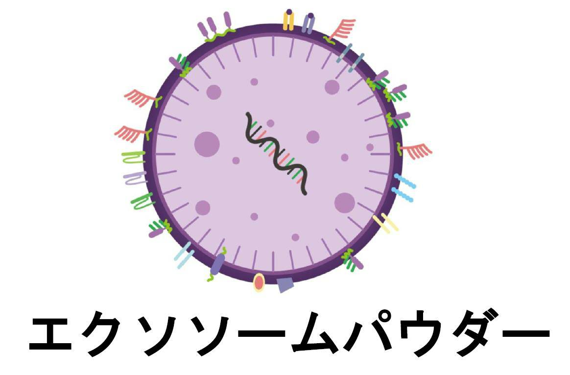 商標登録6550208