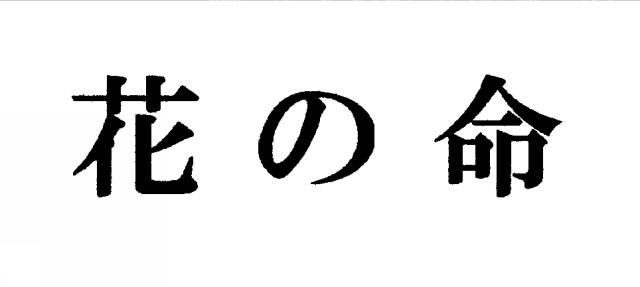 商標登録6391512