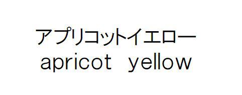 商標登録6269610