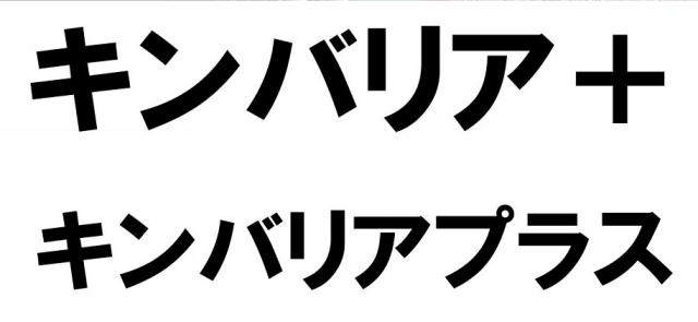 商標登録6394213