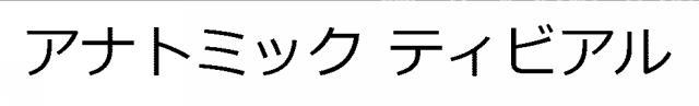 商標登録6272602