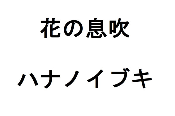 商標登録6555147