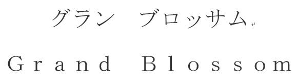 商標登録6073471