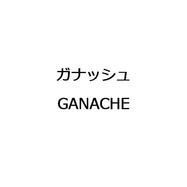 商標登録6210521