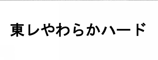 商標登録6008876