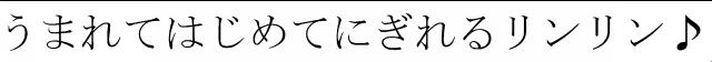 商標登録6077993