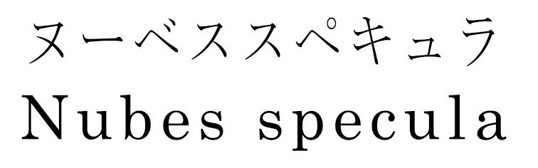 商標登録6562712