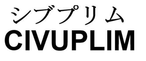 商標登録6284066