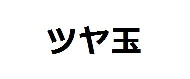 商標登録6084806