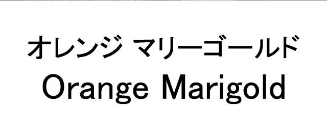 商標登録6286753