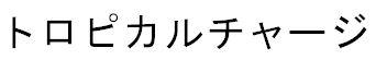 商標登録6191554