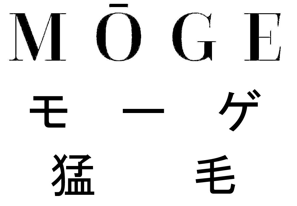 商標登録6493520