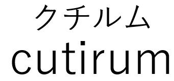 商標登録6857792