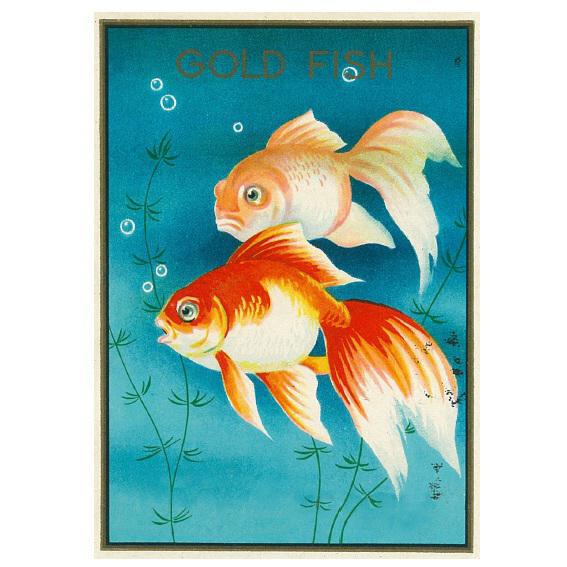 商標登録5650362