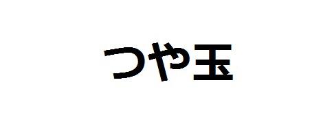 商標登録6095430