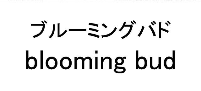 商標登録6198009