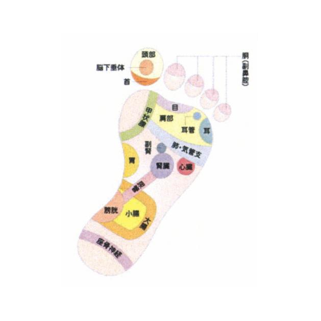 商標登録5455496