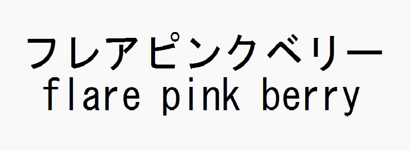 商標登録6582987